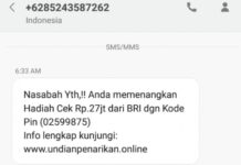Penipuan Undian Bermodal Domain Berbayar