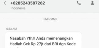 Penipuan Undian Bermodal Domain Berbayar