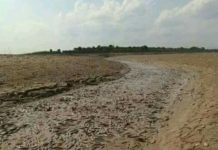 Danau Sentarum Mengering, Ikan Melimpah