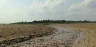 Danau Sentarum Mengering, Ikan Melimpah