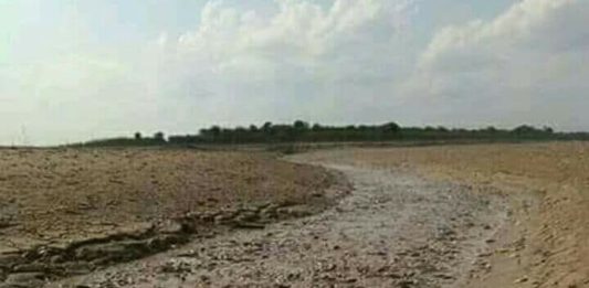 Danau Sentarum Mengering, Ikan Melimpah