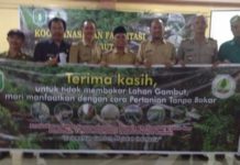 Kembalikan Fungsi Hidrogen Gambut