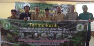 Kembalikan Fungsi Hidrogen Gambut
