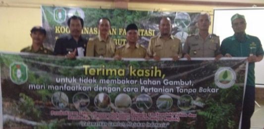 Kembalikan Fungsi Hidrogen Gambut