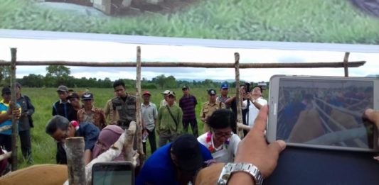 Dukung Program Nasional Swasembada Daging