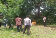 43 Jenis Obat Kedaluwarsa dan Rusak Dibakar