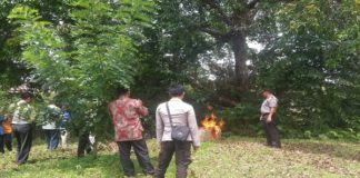 43 Jenis Obat Kedaluwarsa dan Rusak Dibakar