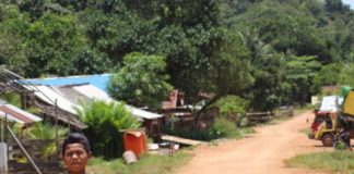 Jalan Desa Matan Jaya Masih Tanah Merah