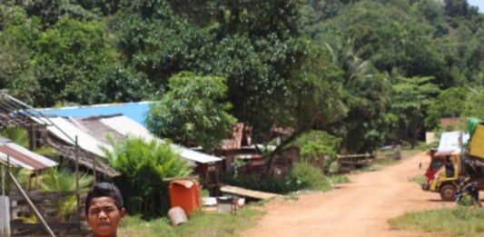 Jalan Desa Matan Jaya Masih Tanah Merah