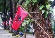 Pasang di Pepohonan, Bawaslu Turunkan Bendera PDI Perjuangan