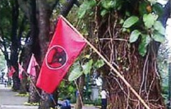 Pasang di Pepohonan, Bawaslu Turunkan Bendera PDI Perjuangan