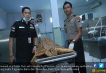 Lagi, Polisi Tembak Mati Bandar Narkoba