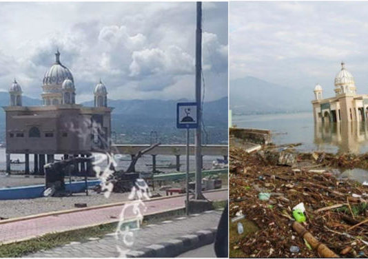 Literasi Tsunami dari Tonggolobibi
