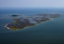 Perubahan Life Style di Asia Percepat Pemanasan Global