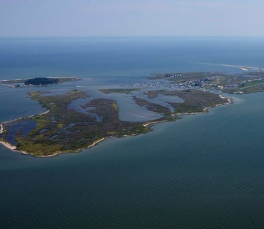 Perubahan Life Style di Asia Percepat Pemanasan Global