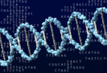 DNA, antara Penting vs Menarik