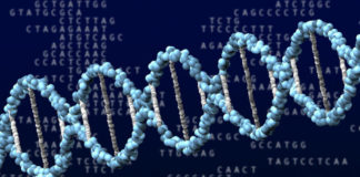 DNA, antara Penting vs Menarik