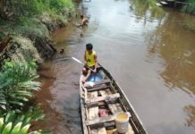 Dihargai Mahal, Warga berburu Ringau
