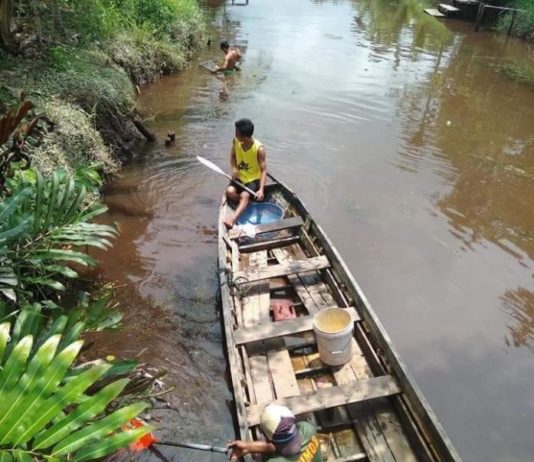 Dihargai Mahal, Warga berburu Ringau
