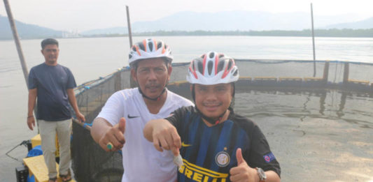 Penangkaran Ikan Bawal Bintang Melalui Keramba
