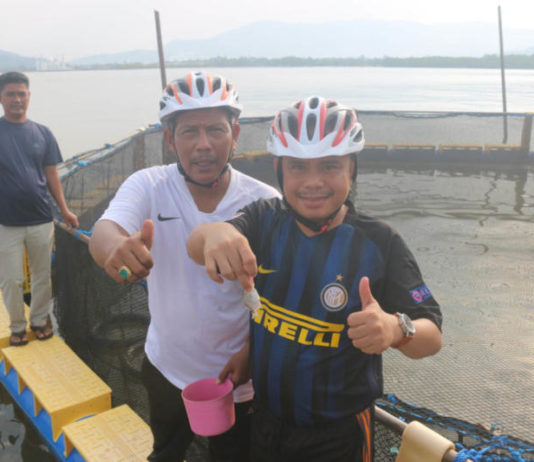 Penangkaran Ikan Bawal Bintang Melalui Keramba