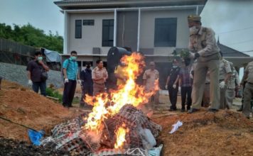 Ribuan Telur dan Ayam Malaysia Dimusnahkan PEMUSNAHAN. Sejumlah pihak memusnahkan ribuan telur dan ayam serta bibit tanaman asal Malaysia dengan cara dibakar, Jumat (5/10)—Warga for RK