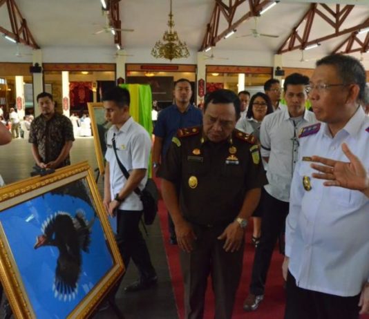 Melaporkan Perusak Hutan Diberi Reward