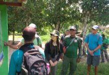 Turis Asing Berburu Foto Orangutan di Alam Liar