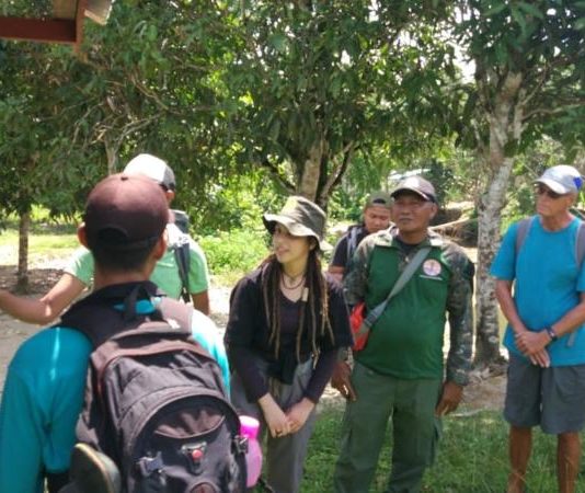 Turis Asing Berburu Foto Orangutan di Alam Liar