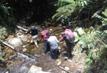 Status Kawasan Hutan Bikin Desa Terisolir