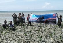 Tanam 1000 Mangrove di MMP
