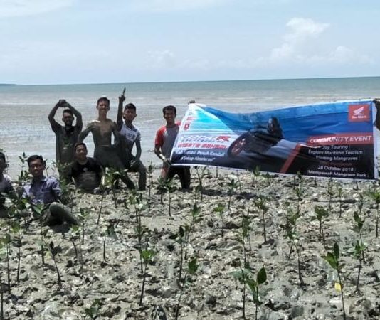 Tanam 1000 Mangrove di MMP
