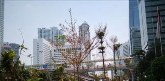 Wajah Baru Jalan Thamrinku