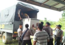 Diduga Disewa Warga Malaysia, Gudang Penyimpanan Barang Ilegal Digerebek Polisi Sejumlah barang disita polisi, ketika penggerebekan gudang ilegal di Dusun Kuya Desa Lubuk Sabuk Kecamatan Sekayam, Sabtu (20/10)--ist