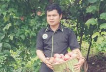 Hasil Bumi Sempatung Terpaksa Dijual ke Entikong