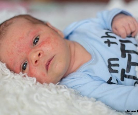 Jangan Salah Kaprah Bunda, Sayur Bukan yang Utama untuk Bayi