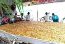 Petani Raup Rp175 Juta Perbulan