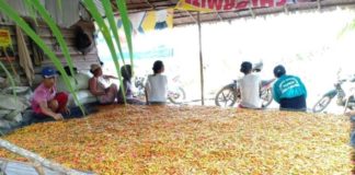 Petani Raup Rp175 Juta Perbulan