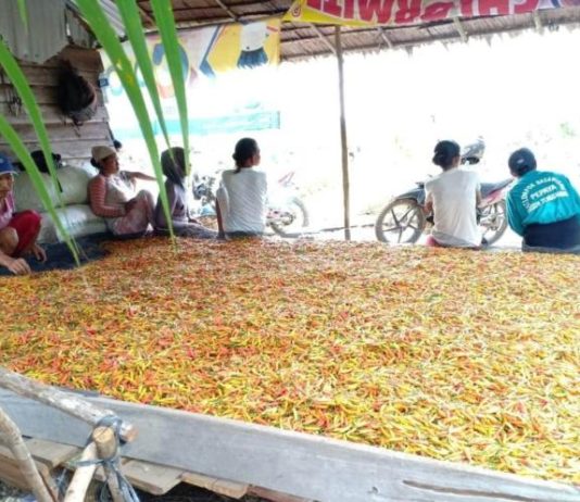 Petani Raup Rp175 Juta Perbulan