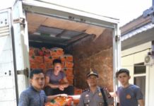 Polsek Teriak Sita 4 Ton Wortel Malaysia