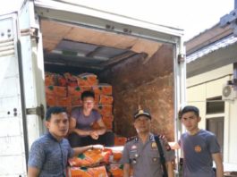 Polsek Teriak Sita 4 Ton Wortel Malaysia