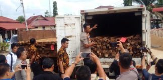 Ketapang (Masih) Marak Illegal Logging?