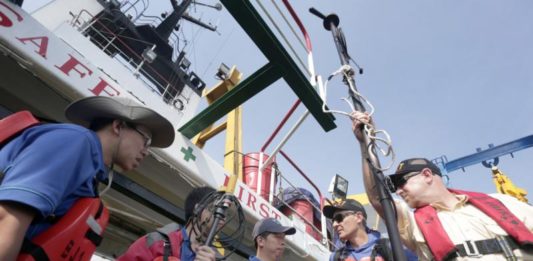 KNKT Periksa Kru Pesawat Lion Air