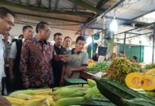 Tebarkan Ancaman Buat Mafia Pangan