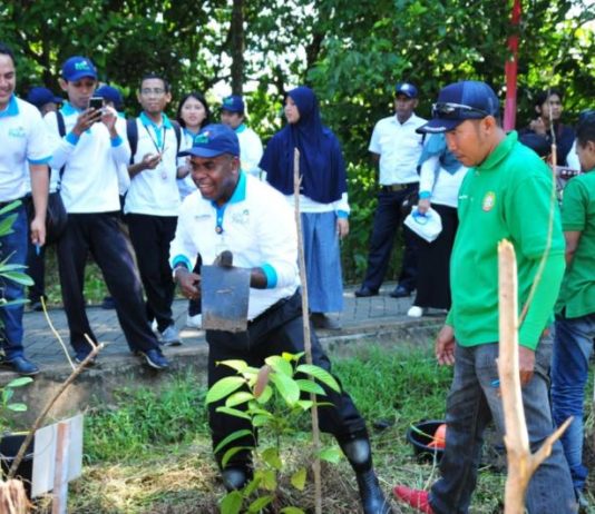 PLN Kalbar Tanam Seribu Pohon