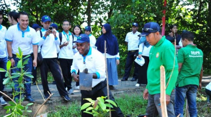 PLN Kalbar Tanam Seribu Pohon