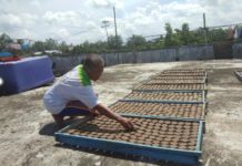 Karena Belacan Bisa Bertemu Presiden