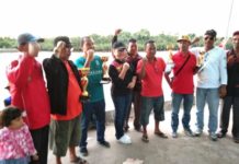 Raja Sungai Juarai Dragon Board Robo-robo