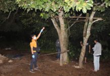 Diduga karena Konflik Asmara, Pohon Rambutan Jadi Tempat FAT Akhiri Hidupnya