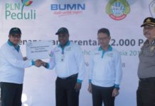 Peduli Lingkungan, PLN Kalbar Tanam 22 ribu Pohon, Wujudkan Bisnis Listrik Berwawasan Lingkungan